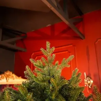 Riviera Alpine Christmas Tree 220 CM With Mixed Silicone Needle PE+PVC - ნაძვის ხე შერეული სილიკონის წიწვებით, 3 image