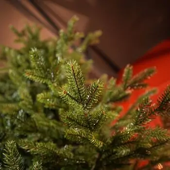 Alpina Christmas Tree 240 CM Edelweiss With Mixed Silicone Needle - ნაძვის ხე შერეული სილიკონის წიწვებით, 9 image