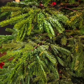 Evergreen Charm Christmas Tree 210 CM 100% Silicone - ნაძვის ხე 100 % სილიკონი, 12 image