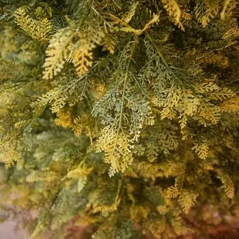 Mistlewood Christmas Tree 180 CM 100% Silicone With Stump - ნაძვის ხე 100 % სილიკონი, 12 image