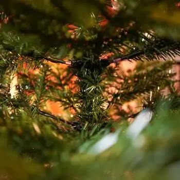 Northern Glow Christmas Tree 150 CM With Mixed Silicone Needle PE+PVC -  ნაძვის ხე შერეული სილიკონის წიწვებით, 15 image