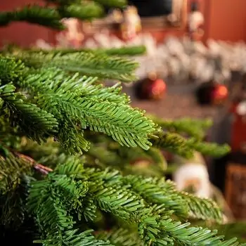 Evergreen Charm Christmas Tree 210 CM 100% Silicone - ნაძვის ხე 100 % სილიკონი, 8 image