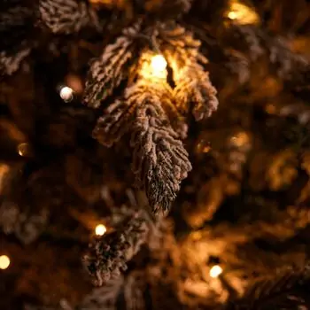 Snowhaven Christmas Tree With Lights 225 CM Snow-Covered - საახალწლო ნაძვის ხე დათოვლილი ტოტებით და განათებით, 14 image