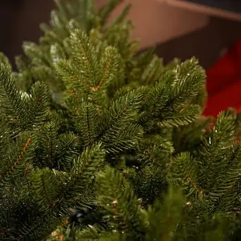 Lamelia Christmas Tree PE+PVC 240CM With Mixed Silicone Needle - ნაძვის ხე შერეული სილიკონის წიწვებით, 13 image