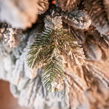Ukrainіan Frost Snow-Covered Christmas Tree 230 CM 100 % Silicone Needle - ნაძვის ხე 100% სილიკონი, 11 image