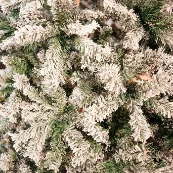 Snowy Belle Christmas Tree 270 CM საახალწლო ნაძვის ხე დათოვლილი ტოტებით, 9 image