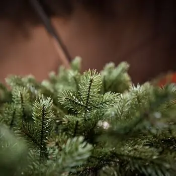 Holandiia Christmas Tree With Blue Tips PE 180 CM საახალწლო ნაძვის ხე, 100% სილიკონი, 12 image