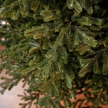 Royal Christmas Tree With Lights PE 250 CM - ნაძვის ხე 100% სილიკონის წიწვებით, 12 image