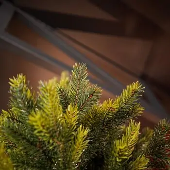 Holandiia Christmas Tree With Olive Tips PE 250 CM საახალწლო ნაძვის ხე, 100% სილიკონი, 13 image