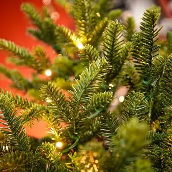 Everwyn Christmas Tree  90 CM 100% Silicone Needle With Lights - ნაძვის ხე 100% სილიკონის წიწვებით და განათებით, 5 image