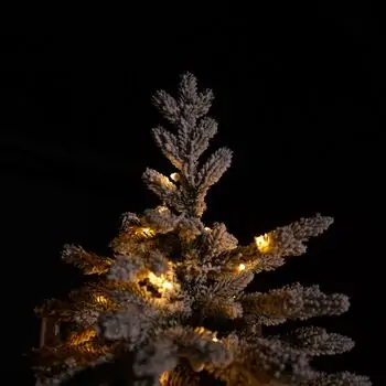 Celestine Snow-Covred Christmas Tree PE+PVC 210 CM With Mixed Silicone Needle And Lights - დათოვლილი ნაძვის ხე შერეული სილიკონის წიწვებით და განათებით, 11 image