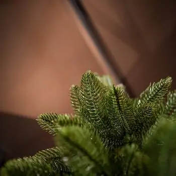 Premium Christmas Tree PE 200 CM ნაძვის ხე 100% სილიკონი, 11 image