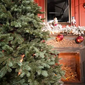 Holandiia Christmas Tree With Blue Tips PE 180 CM საახალწლო ნაძვის ხე, 100% სილიკონი, 6 image