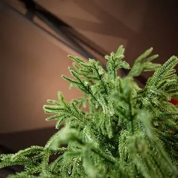 Pinecrest Christmas Tree PE 210 CM  - ნაძვის ხე 100% სილიკონი, 12 image