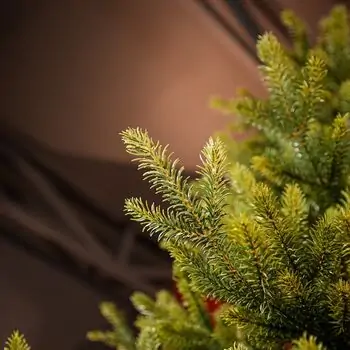 Christmas Tree 100% Silicone PE 240 CM  - ნაძვის ხე 100% სილიკონი, 6 image