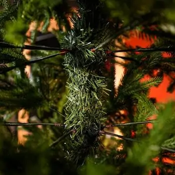 Champagne Pine Christmas Tree 210 CM  ნაძვის ხე 100 % სილიკონი, 13 image