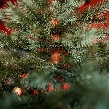 Holandiia Christmas Tree With Blue Tips PE 210 CM საახალწლო ნაძვის ხე, 100% სილიკონი, 10 image