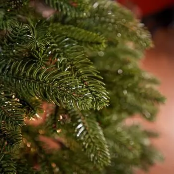 Premium Christmas Tree PE 200 CM ნაძვის ხე 100% სილიკონი, 15 image