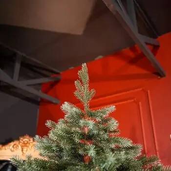 Holandiia Christmas Tree With Blue Tips PE 210 CM საახალწლო ნაძვის ხე, 100% სილიკონი, 3 image