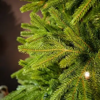 Champagne Pine Christmas Tree 210 CM  ნაძვის ხე 100 % სილიკონი, 6 image