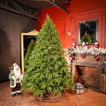 Champagne Pine Christmas Tree 210 CM  ნაძვის ხე 100 % სილიკონი