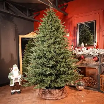Royal Christmas Tree With Lights PE 250 CM - ნაძვის ხე 100% სილიკონის წიწვებით