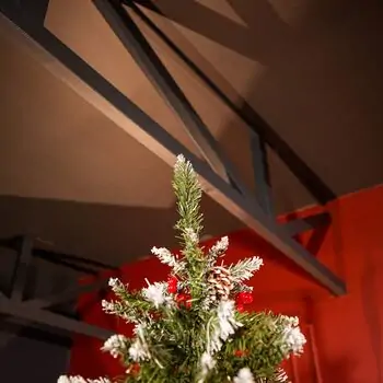 Solenne Christmas Tree 240 CM With Pine Cones And Berries - ნაძვის ხე დათოვლილი ბოლოებით, გირჩით და კენკრით, 3 image