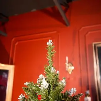 Frostmere Christmas Tree 180 CM With Pine Cones And Berries - ნაძვის ხე დათოვლილი ბოლოებით, გირჩით და კენკრით, 3 image