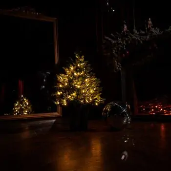 Everwyn Christmas Tree  90 CM 100% Silicone Needle With Lights - ნაძვის ხე 100% სილიკონის წიწვებით და განათებით, 12 image