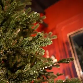 Royal Christmas Tree With Lights PE 250 CM - ნაძვის ხე 100% სილიკონის წიწვებით, 8 image