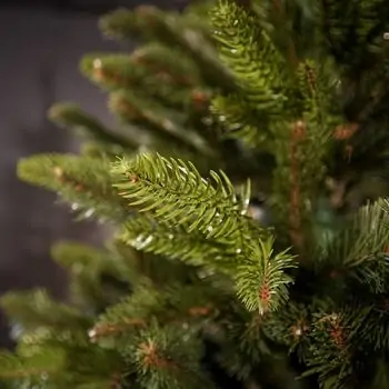 Jasmine Green Christmas Tree PE + PVC 220CM With Olive Tips And Mixed Silicone Needle - ნაძვის ხე შერეული სილიკონის წიწვებით, 6 image