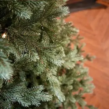 Holandiia Christmas Tree With Blue Tips PE 210 CM საახალწლო ნაძვის ხე, 100% სილიკონი, 8 image