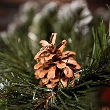 Lidia Green Christmas Tree With White Tips, Pine Cones And Berries PVC 250CM - ნაძვის ხე თეთრი ბოლოებით, გირჩით და კენკრით, 11 image