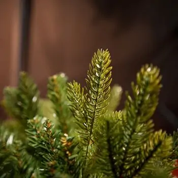 Nordora Christmas Tree PE+PVC 180 CM With Mixed Silicone Needle - ნაძვის ხე შერეული სილიკონის წიწვებით, 14 image