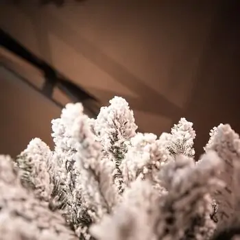 Opal Pine Snow-Covred Christmas Tree 210 CM - დათოვლილი ნაძვის ხე, 12 image