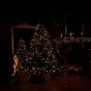 Pearl Evergreen Christmas Tree 180 CM 100% Silicone With Lights - ნაძვის ხე 100% სილიკონი, განათებით, 9 image