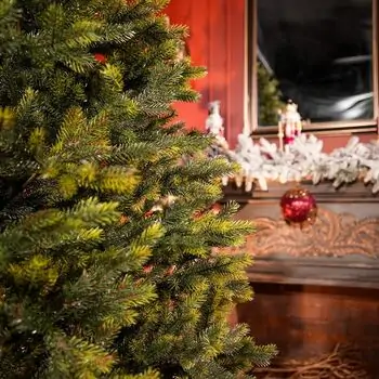 Holandiia Christmas Tree With Olive Tips PE 250 CM საახალწლო ნაძვის ხე, 100% სილიკონი, 6 image