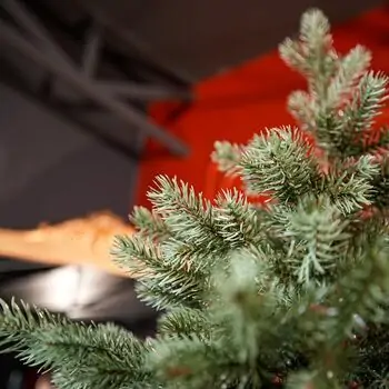 Holandiia Christmas Tree With Blue Tips PE 180 CM საახალწლო ნაძვის ხე, 100% სილიკონი, 10 image