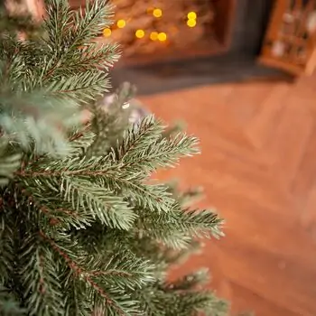 Holandiia Christmas Tree With Blue Tips PE 180 CM საახალწლო ნაძვის ხე, 100% სილიკონი, 7 image