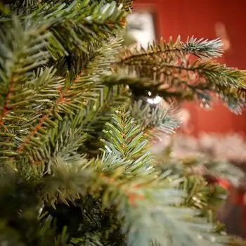 Velvet Wonderland Christmas Tree PE+PVC 210 CM With Mixed Silicone Needle And Pine Cones - ნაძვის ხე შერეული სილიკონის წიწვებით და გირჩით, 12 image