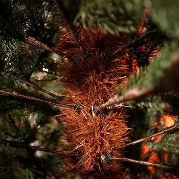 Holandiia Christmas Tree With Blue Tips PE 180 CM საახალწლო ნაძვის ხე, 100% სილიკონი, 15 image