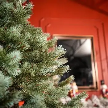 Holandiia Christmas Tree With Blue Tips PE 210 CM საახალწლო ნაძვის ხე, 100% სილიკონი, 9 image