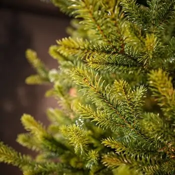 Christmas Tree 100% Silicone PE 240 CM  - ნაძვის ხე 100% სილიკონი, 8 image