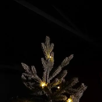 Arctic Snow-Covered Christmas Tree PE 225 CM With Lights - დათოვლილი ნაძვის ხე 100% სილიკონის წიწვებით, 5 image
