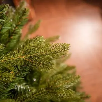 Nordora Christmas Tree PE+PVC 180 CM With Mixed Silicone Needle - ნაძვის ხე შერეული სილიკონის წიწვებით, 12 image
