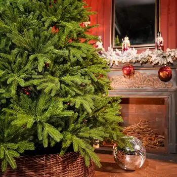 Champagne Pine Christmas Tree 210 CM  ნაძვის ხე 100 % სილიკონი, 5 image
