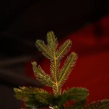 Smart Classic Ukrainian Christmas Tree PE 210 CM 100% Silicone - დათოვლილი ნაძვის ხე 100% სილიკონი, 4 image
