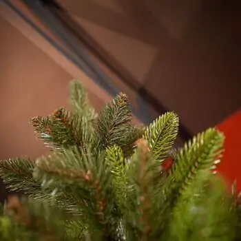 Jasmine Green Christmas Tree PE + PVC 220CM With Olive Tips And Mixed Silicone Needle - ნაძვის ხე შერეული სილიკონის წიწვებით, 13 image