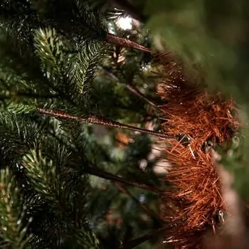 Holandiia Christmas Tree With Blue Tips PE 180 CM საახალწლო ნაძვის ხე, 100% სილიკონი, 16 image