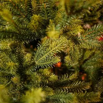 Christmas Tree 100% Silicone PE 240 CM  - ნაძვის ხე 100% სილიკონი, 11 image